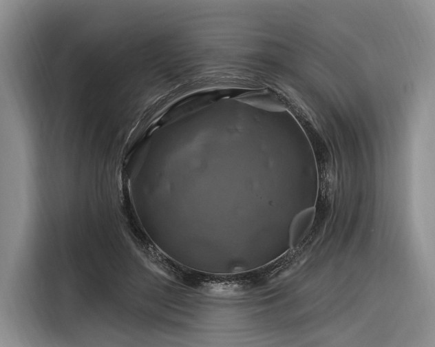 X0000116280500200912071153