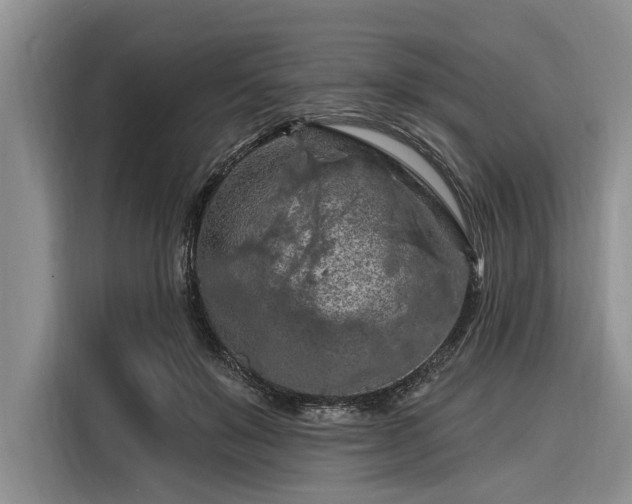 X0000116280503200912071153
