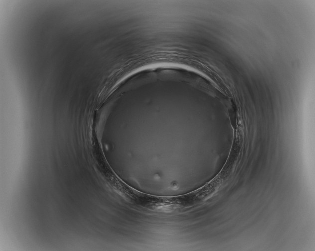 X0000116280504200912071153