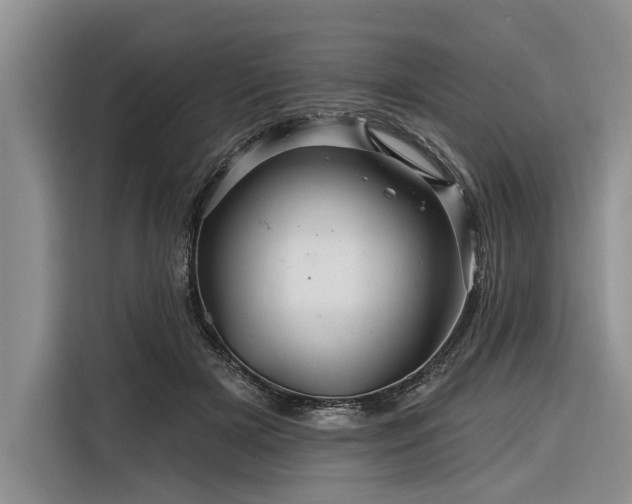 X0000116280505200912071153