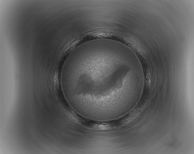 X0000116280506200912071153