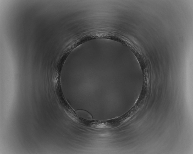 X0000116280507200912071153