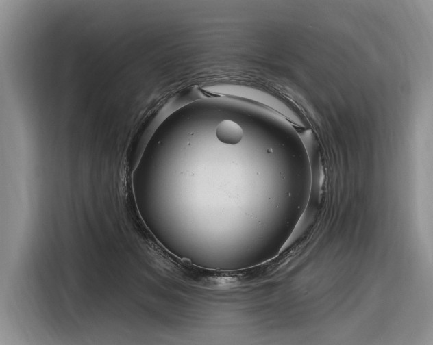X0000116280509200912071153
