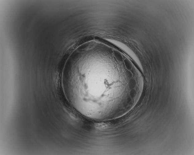 X0000116280511200912071153