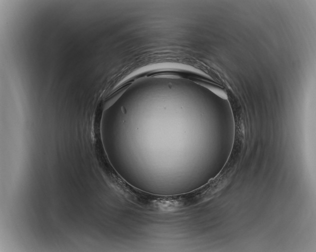 X0000116280512200912071153