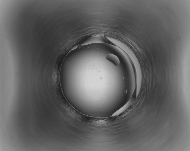 X0000116280513200912071153