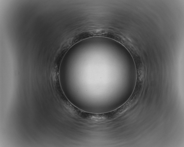 X0000116280515200912071153