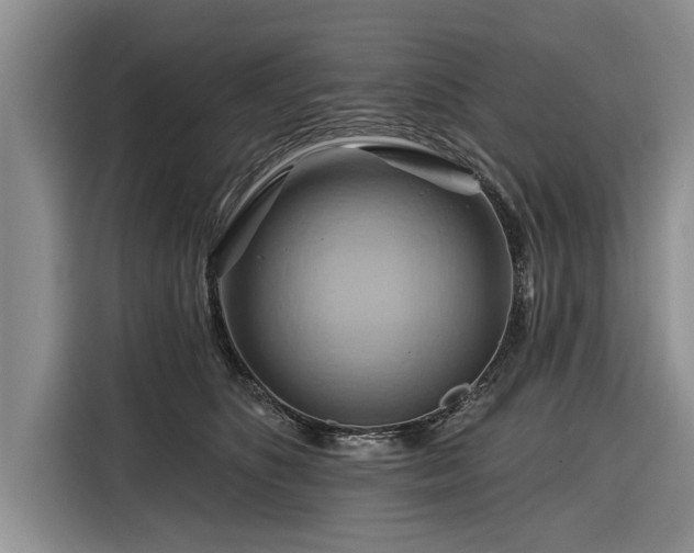 X0000116280516200912071153