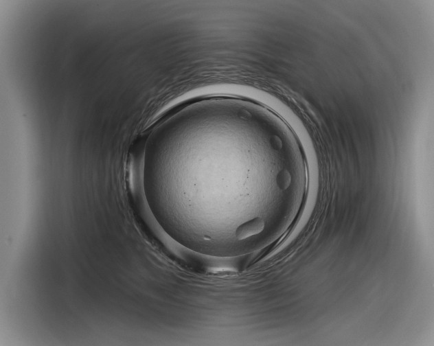 X0000116280517200912071153