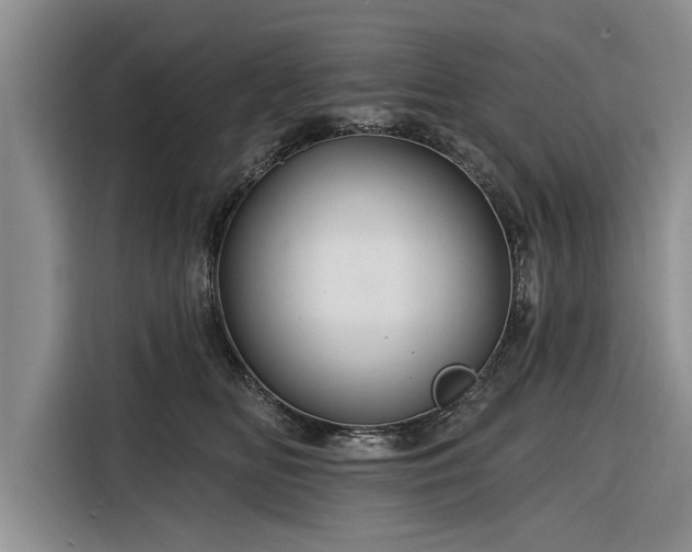 X0000116280518200912071153