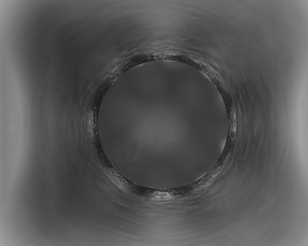 X0000116280519200912071153