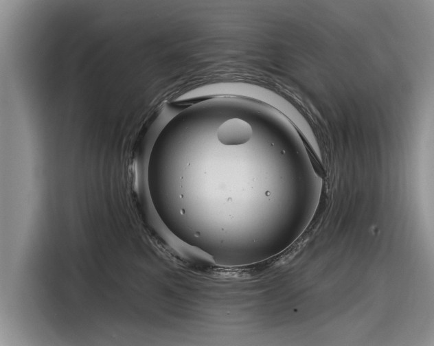 X0000116280521200912071153