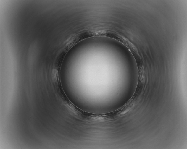 X0000116280523200912071153