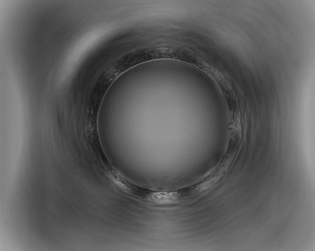 X0000116280526200912071152