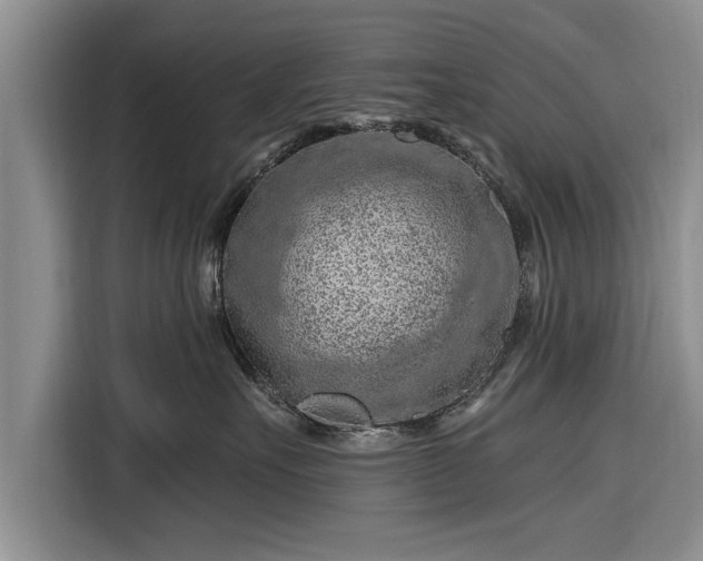 X0000116280527200912071152