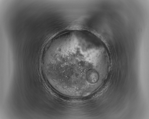 X0000116280529200912071152