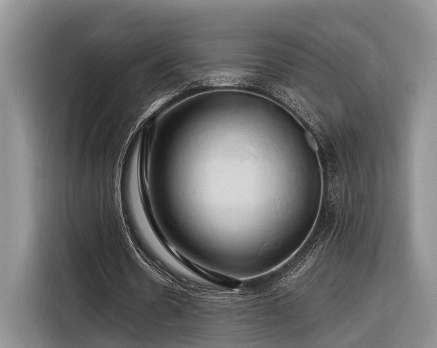 X0000116280530200912071152