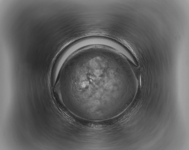 X0000116280531200912071152