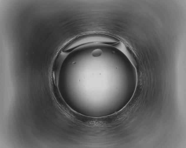 X0000116280535200912071152