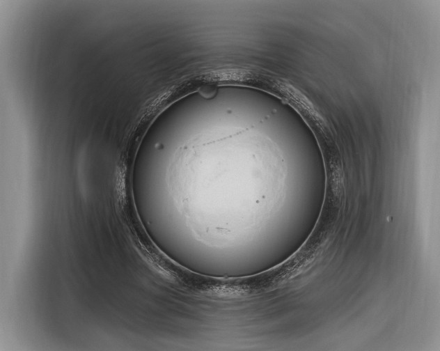 X0000116280537200912071152