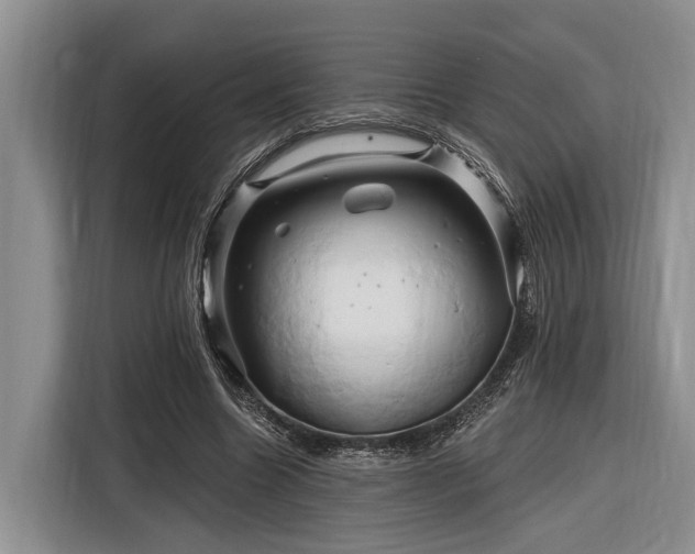 X0000116280538200912071152
