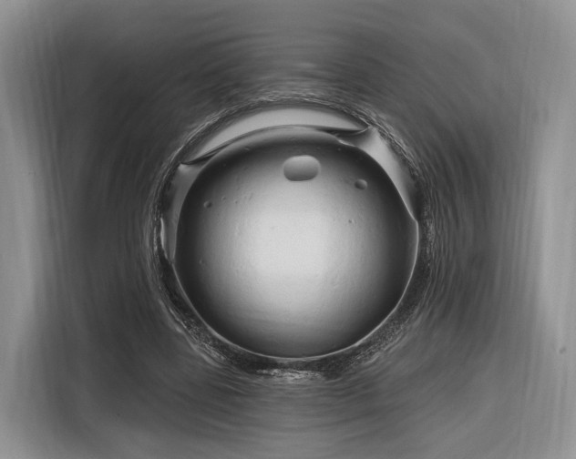 X0000116280539200912071152