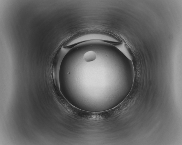 X0000116280543200912071152