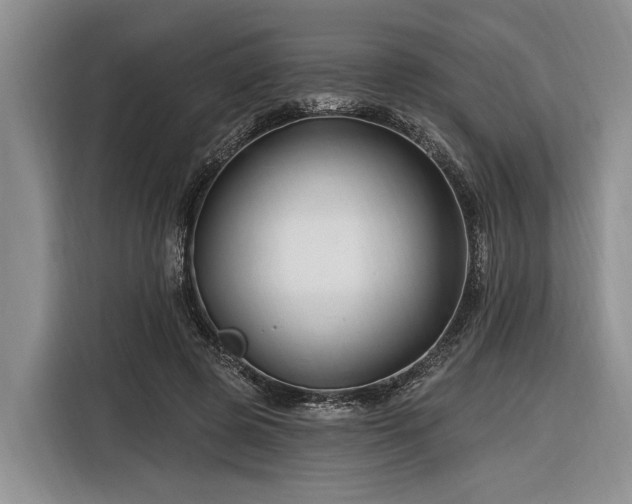 X0000116280545200912071152