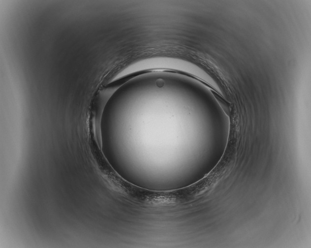 X0000116280546200912071152