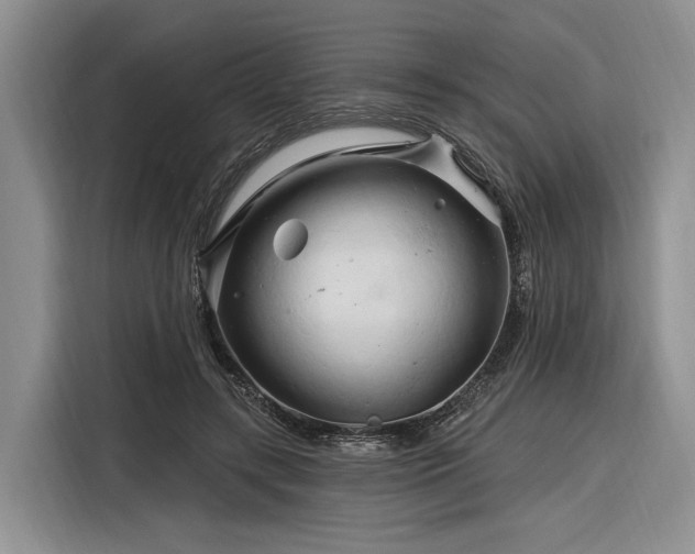 X0000116280547200912071152