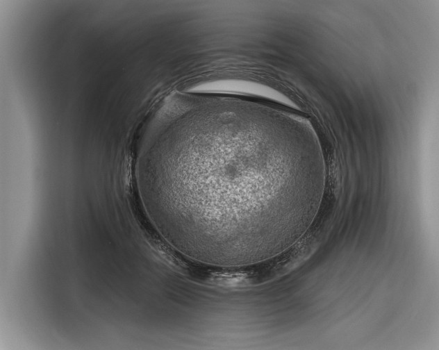X0000116280554200912071152