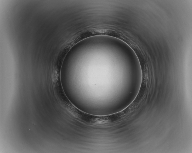 X0000116280555200912071152