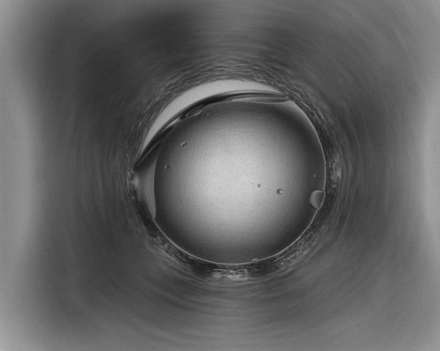 X0000116280559200912071152