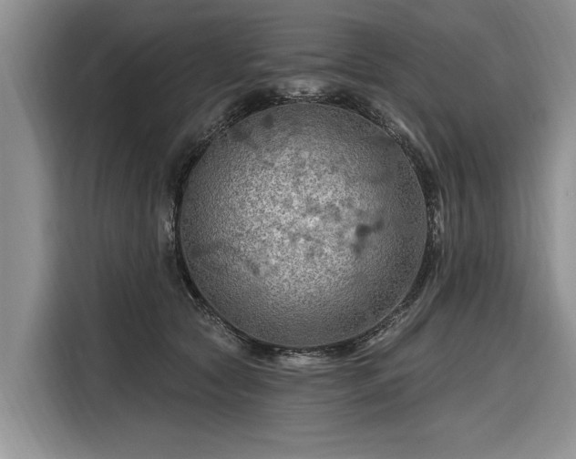 X0000116280561200912071152
