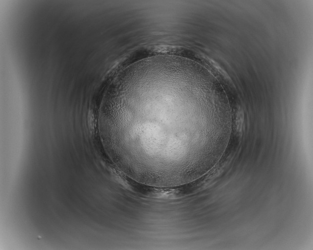 X0000116280569200912071152