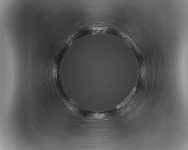 X0000116280570200912071152
