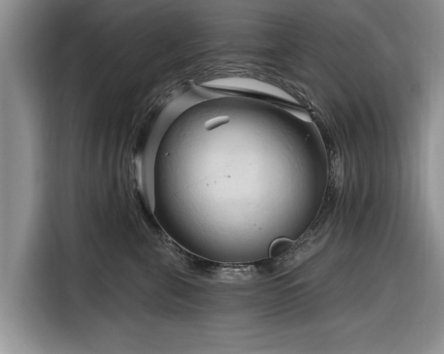X0000116280571200912071152