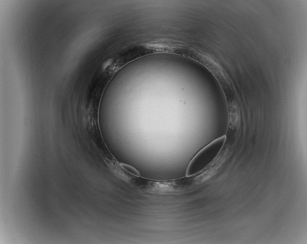 X0000116280573200912071152