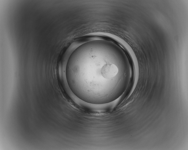 X0000116280575200912071152