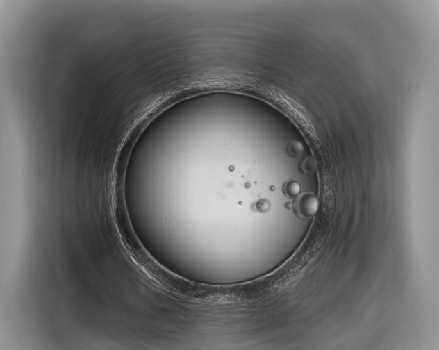 X0000116280578200912071152