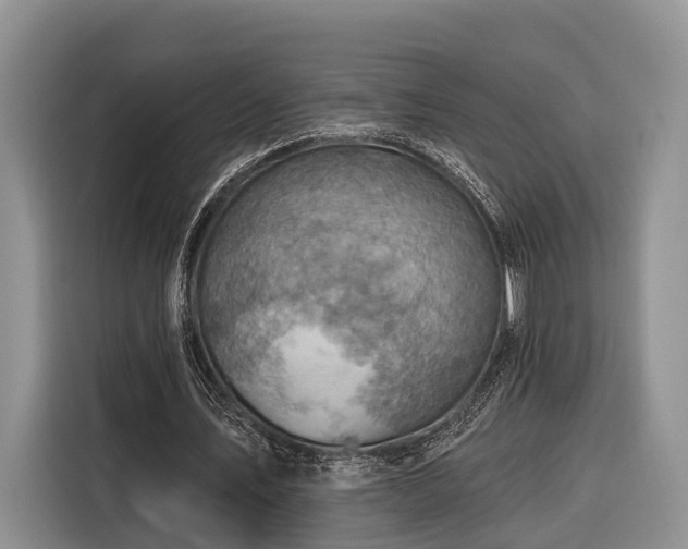 X0000116280579200912071152