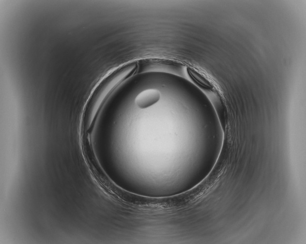 X0000116280580200912071152