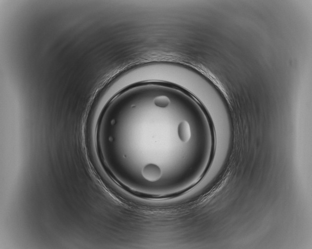 X0000116280581200912071152
