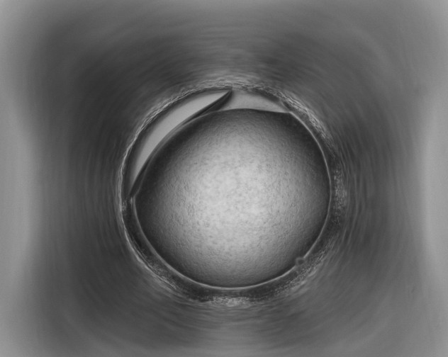 X0000116280582200912071152