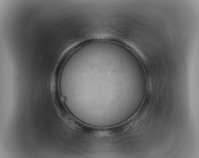 X0000116280583200912071152