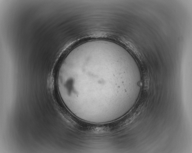 X0000116280584200912071152