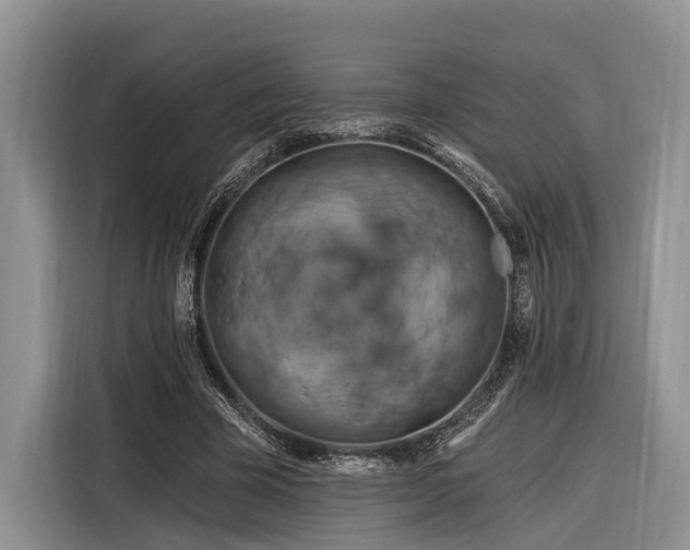 X0000116280585200912071152