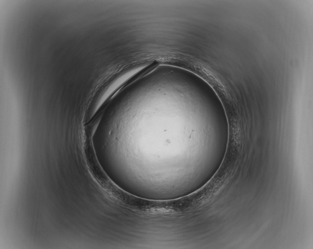 X0000116280586200912071152
