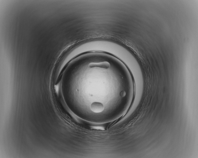 X0000116280587200912071152