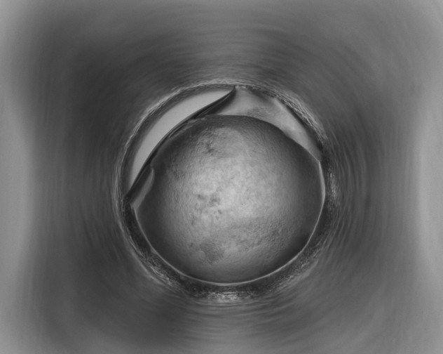 X0000116280588200912071152